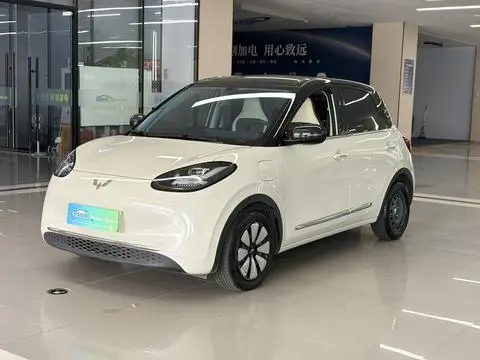 Wuling Bingo 2024