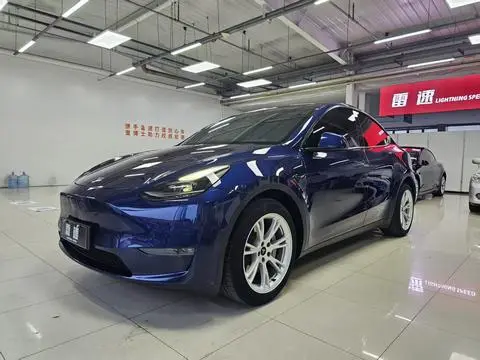 Tesla Model Y 2021 — фото 1