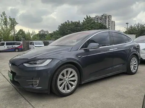 Tesla Model X 2019 — фото 1