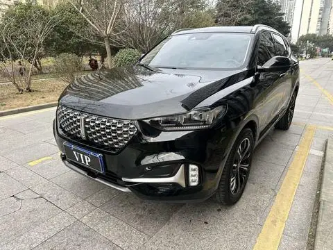 Wey VV6 2020