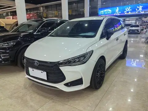 BYD 宋MAX DM 2019 — фото 1