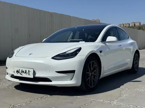 Tesla Model 3 2019