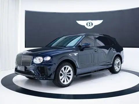 Bentley 添越 2023
