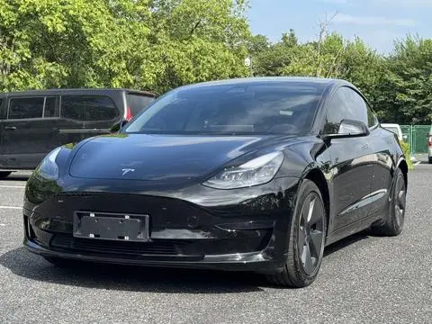 Tesla Model 3 2021 — фото 1