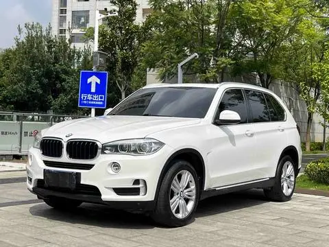 BMW X5 2014 — фото 1