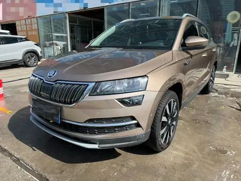 Skoda 柯珞克 2019 — фото 1