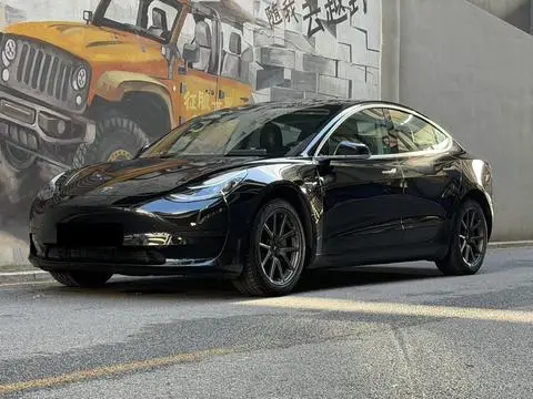 Tesla Model 3 2019