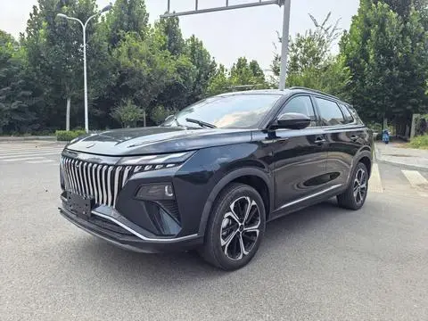 Dongfeng 皓极 2024