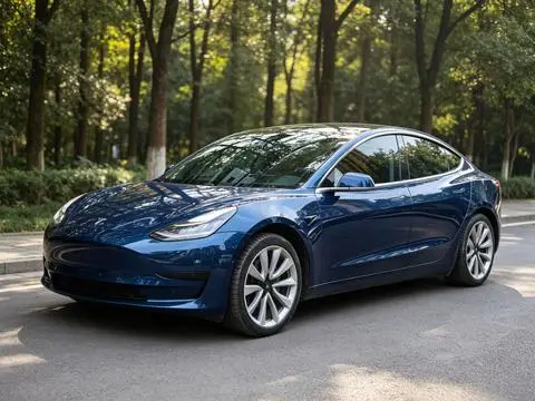 Tesla Model 3 2019