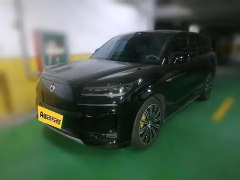 Denza N9 DM 2025
