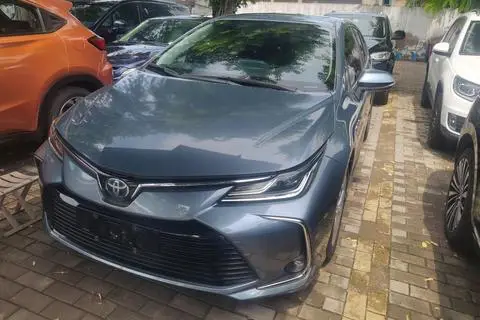 Toyota Corolla 2019