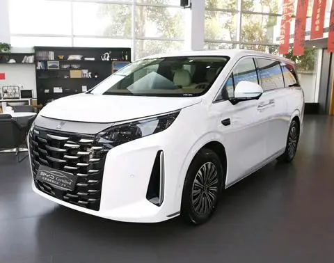 BYD 夏 2025