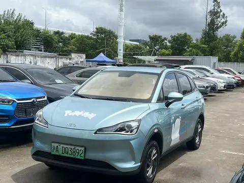 NETA V 2021