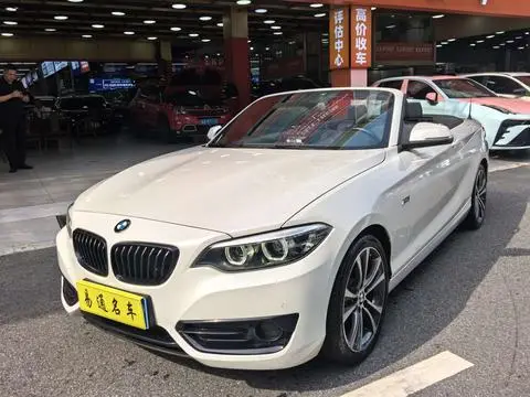 BMW 2 Series 2019