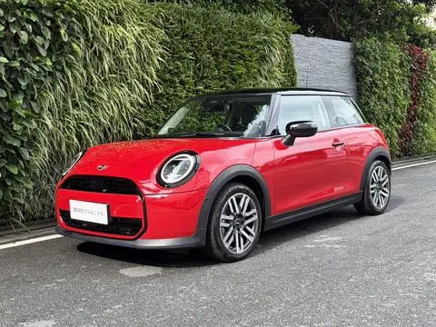MINI MINI 2025