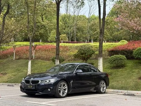 BMW 4 Series 2014