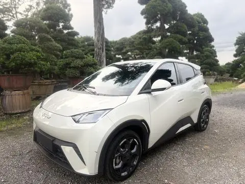 BYD Seagull 2024