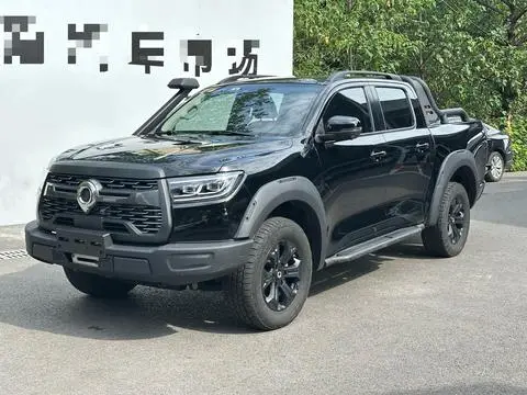 Great Wall 炮 2021