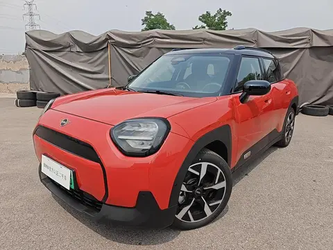 MINI MINI ACEMAN 2025
