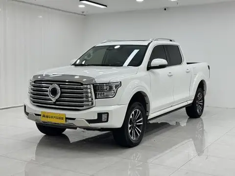 Great Wall 山海炮 2023