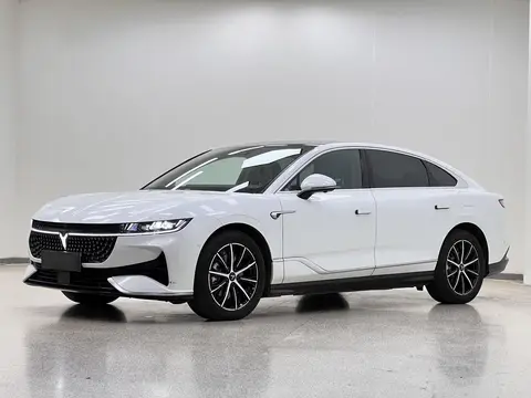 Voyah 追光 PHEV 2024
