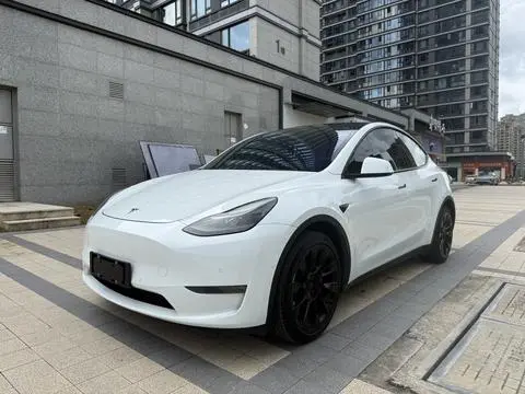Tesla Model Y 2021 — фото 1
