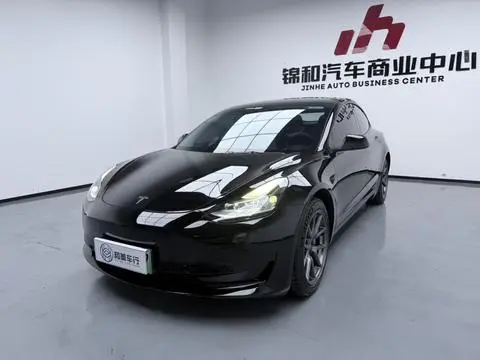 Tesla Model 3 2021