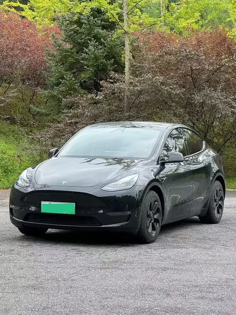 Tesla Model Y 2021 — фото 1