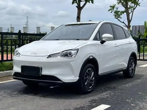 NETA V 2021