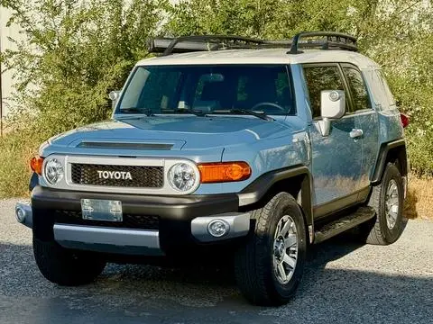 Toyota FJ 酷路泽 2019