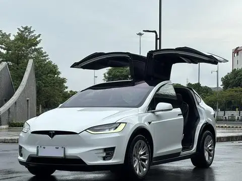 Tesla Model X 2017 — фото 1