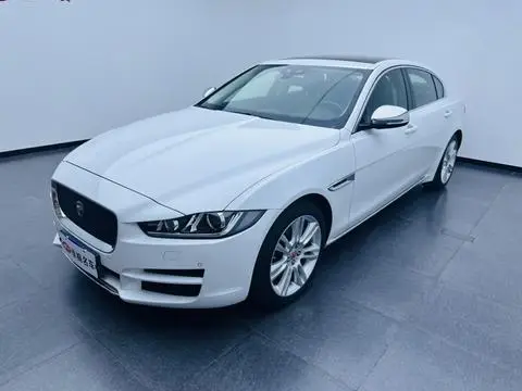 Jaguar XEL 2018