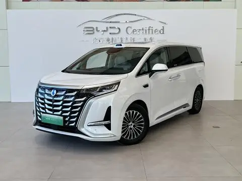 Denza D9 DM 2025