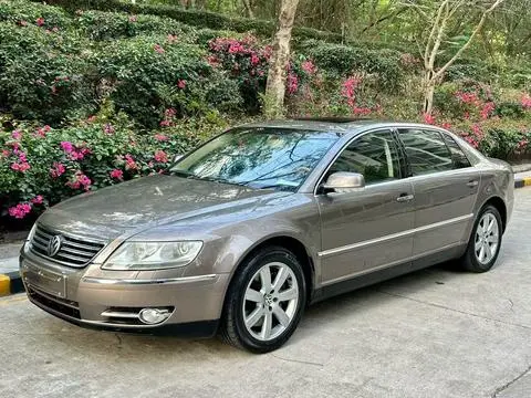 Volkswagen 辉腾 2009