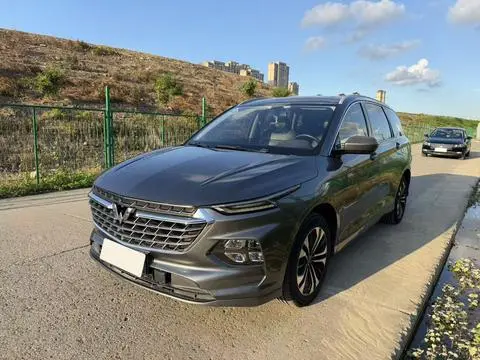 Wuling 凯捷Victory 2020