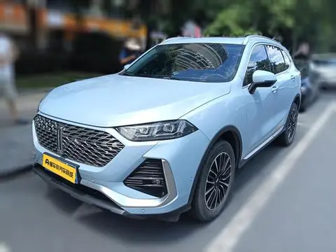 Wey 拿铁DHT 2022