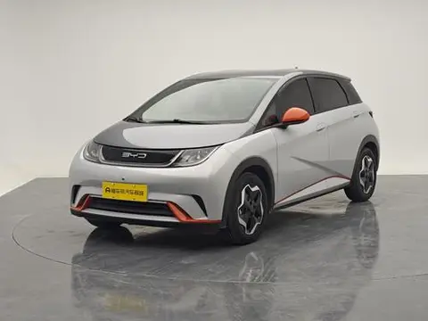 BYD Dolphin 2021