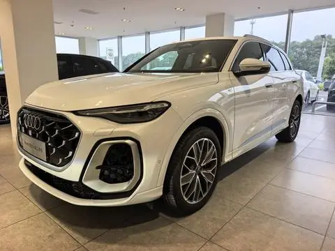Audi Q5L 2026