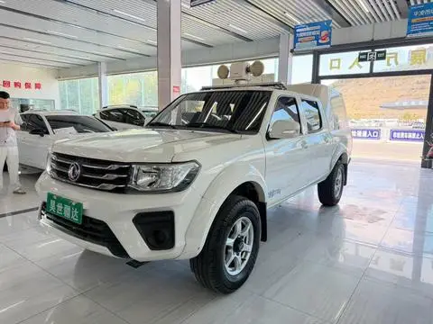 Dongfeng 锐骐 2021