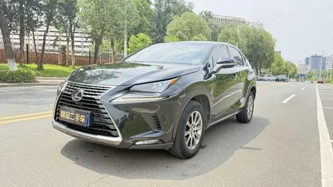 Lexus NX 2020