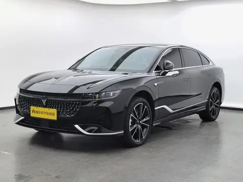 Voyah 追光 PHEV 2024