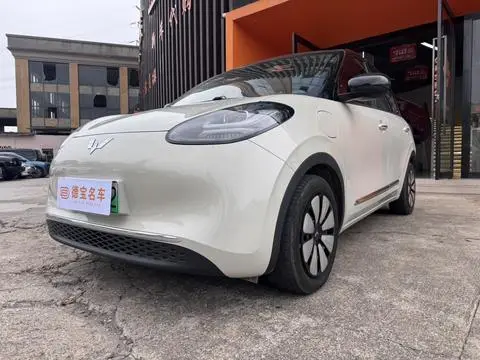 Wuling Bingo 2024