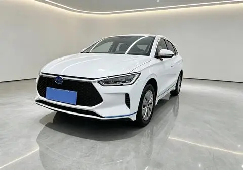 BYD e2 2019