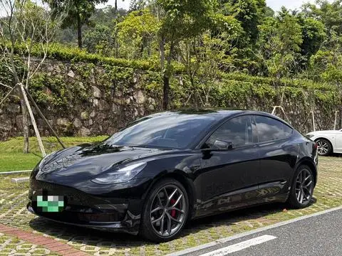 Tesla Model 3 2022
