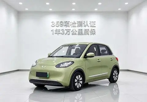 Wuling Bingo 2023