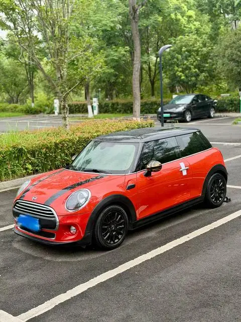 MINI MINI 2019