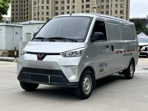 Wuling EV50 2022