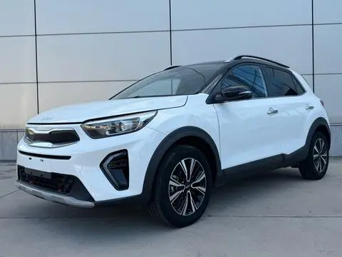 Kia 奕跑 2021