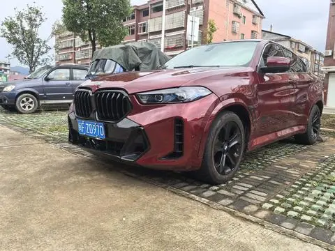 BMW X6 2011