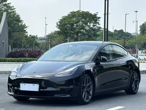 Tesla Model 3 2021